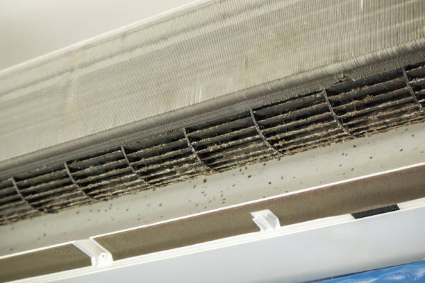 Best Residential Air Duct Cleaning  in North Pembroke, MA